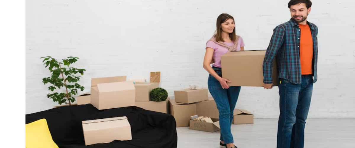 movers and packers jvt