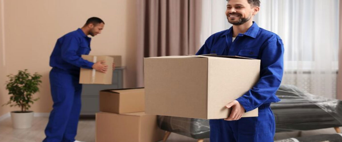 movers and packers meydan