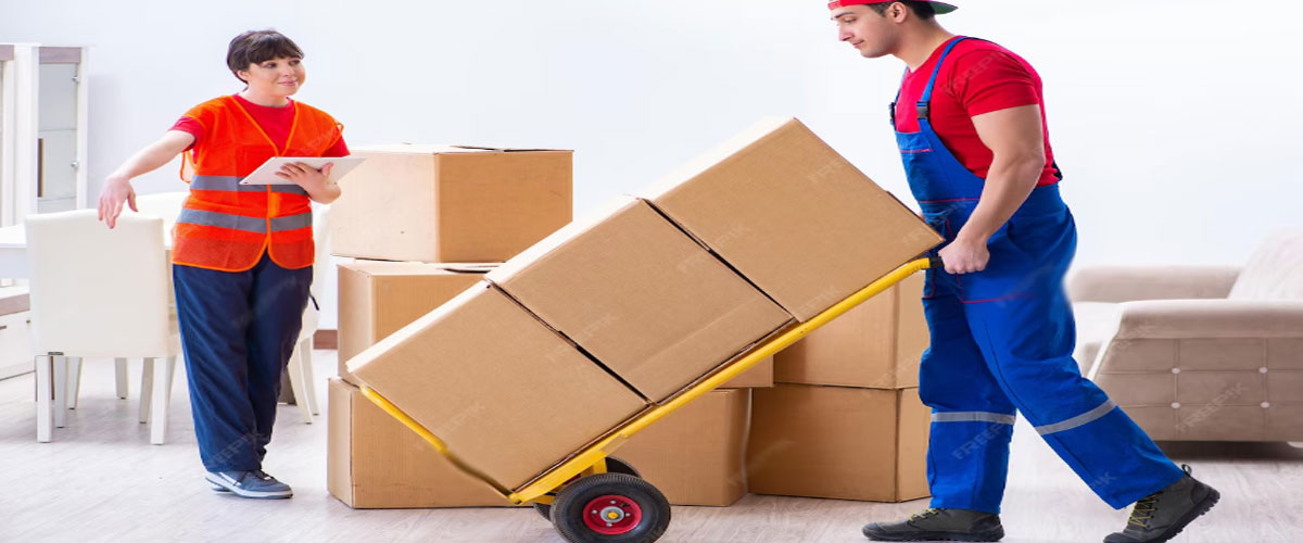 movers and packers serena