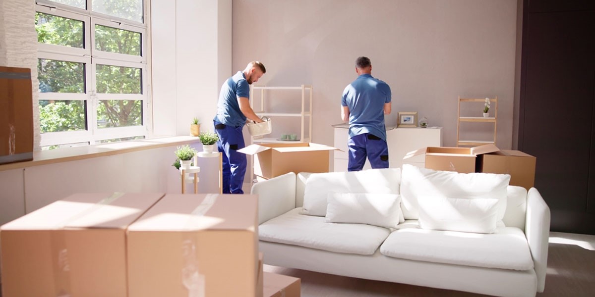 Top 5 Reasons Why Professional House